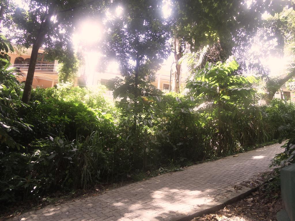 Forest View Homestay Kandy Dış mekan fotoğraf
